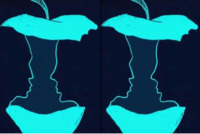 Тест на 1 хвилину: Що ви бачите на картинці?