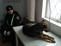 На Рівненщині поліцейські врятували двох собак