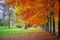 Вересневі нововведення у школах, ТЦК та з кредитами: що зміниться для українців вже від сьогодні 