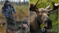 Убив звіра, занесеного до Червоної книги: на Сарненщині виявили 22-річного браконьєра (ФОТО)