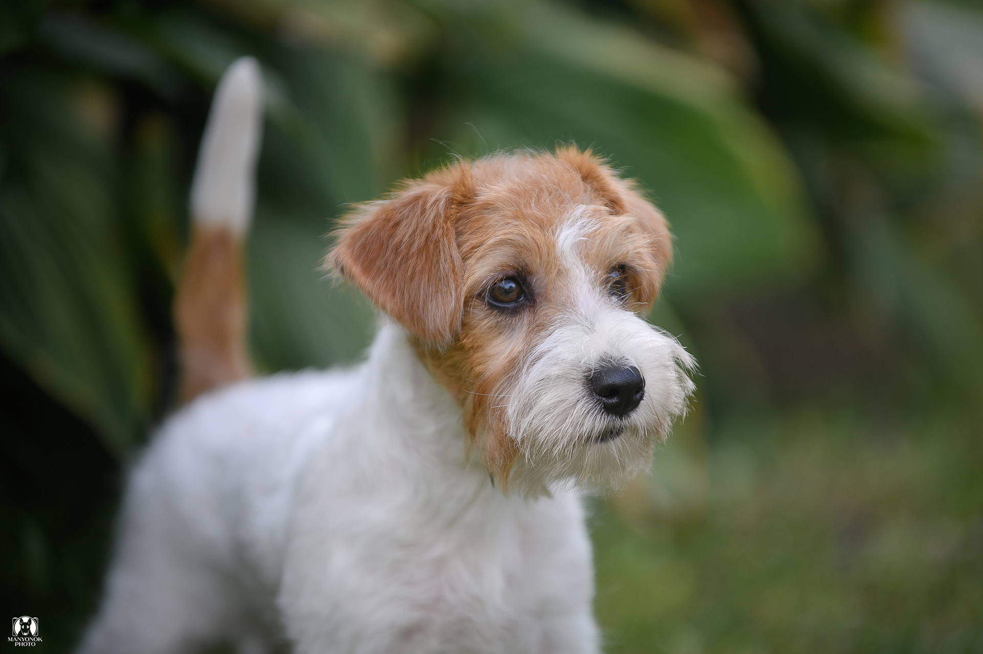 Фото ілюстративне, з відкритих джерел