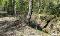 На півночі Рівненщини загинув 27-річний мотоцикліст: Тіло чоловіка знайшли в рівчаку (ФОТО)