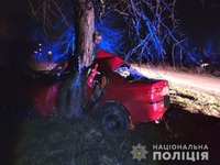 Водій Alfa Romeo в’їхав у дерево неподалік Рівного: деталі смертельної ДТП від поліції (ФОТО)