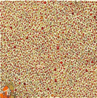 Чи гострий у вас зір? Спробуйте знайти 4 яблука серед осіннього листя