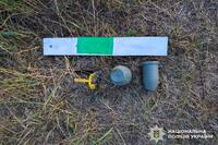 Діти знайшли бойову гранату на березі річки у Сарнах: деталі
