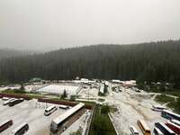 Перший сніг випав на Заході України (ФОТО/ВІДЕО)