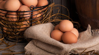 Яйця буде нікуди дівати: чим треба годувати курей, щоб вони неслися цілий рік?