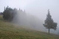 До кінця дня на Рівненщині оголосили І рівень небезпеки