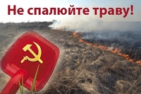 «Совок»: на Рівненщині спалили понад 60 гектарів сухої трави