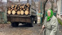 На Рівненщині люди попри мороз стояли у черзі, щоб отримати безплатні дрова (ВІДЕО)