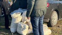 На Рівненщині з бурштином спіймали мешканця Чернігова: «Сонячного» каміння у нього знайшли на пів мільйона 