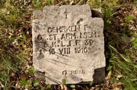 «Багато надмогильних плит надломлено», - на Рівненщині занепадає воєнне поховання німців 