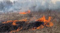 Через недопалки на Рівненщині сталися пожежі: горіло майже 2 га сухостою