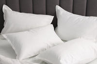 Що приховує подушка? Ви навіть не уявляєте, як багато від неї залежить 