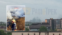 Біля Рівного у селі горить сміттєзвалище: стовп диму видно з центру міста (ВІДЕО)