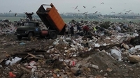 Садовий поїхав, сміття приїхало: три фури львівських відходів викинули на Рівненщині