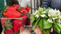 На ринку у Рівному з’явилася перша полуниця: скільки коштує ягода? (ФОТО)