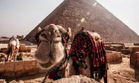 На 50% дешевше: у Єгипті з'явилася вигідна акція для туристів