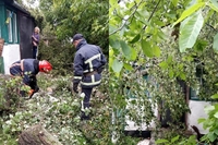 Злива на Рівненщині: дерева падали на будинки (ФОТО)

