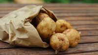 Як правильно зберігати картоплю у квартирі: Поради, перевірені часом