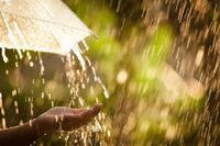 Дощі відійдуть, але не всюди: Якою в Україні буде погода  