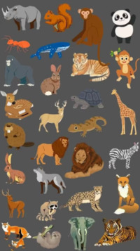 Загадка для найгеніальніших: Знайдіть зайву тварину