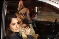 Поліція знайшла вбивцю собаки відомої акторки