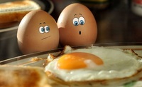 Припиніть робити це з яйцями, перед тим як покласти їх в холодильник