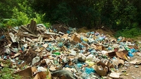 На Рівненщині ліквідували понад 400 стихійних сміттєзвалищ (ФОТО)