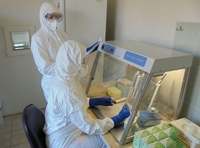 Окрему лабораторію для визначення коронавірусу у мешканців північних районів хочуть зробити на Рівненщині