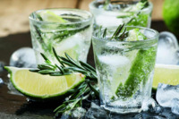 Як зробити ідеальний джин-тонік: Поради від бренд-менеджера шотландського джину