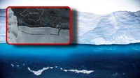 Від Антарктиди відколовся найбільший у світі айсберг. Він майже в 70 разів більший за Рівне (ФОТО)