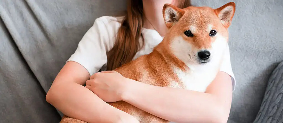 Фото ілюстративне, з відкритих джерел