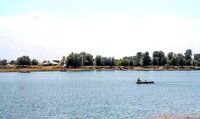 Замість моря: де відпочити біля води у Закарпатті (ФОТО)