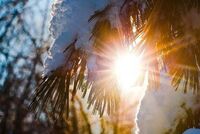 Відомо, чи буде в березні тепло: Прогноз на перший місяць весни