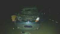 Поліція розповіла деталі трагічної ДТП: «Renault» зіткнувся з «Уралом» (ФОТО) 