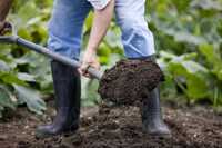 Прийшов час підготовки ґрунту до весни: що треба зробити для щедрого врожаю?