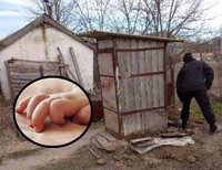 Поліція виявила тіло новонародженого малюка у вигрібній ямі (ФОТО)