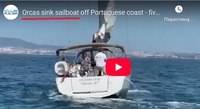 Орки атакують вітрильники біля Португалії: кадри виклали в мережу (ВІДЕО)