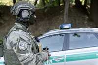 Українка спричинила переполох на польському кордоні: на неї чекає екстрадиція