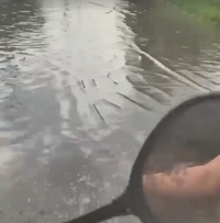 У Корнині біля Рівного дощ затопив дорогу (ВІДЕО)