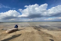 Обміліло одне з найглибших озер України (ФОТО)