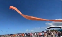 Повітряний змій підняв у небо дівчинку, яка в ньому заплуталося, на висоту в понад 50 футів (ВІДЕО 18+)