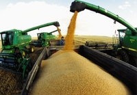На Рівненщині зібрали понад третину врожаю зерна