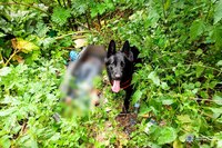 На сміттєзвалищі біля Рівного знайшли вбитого чоловіка