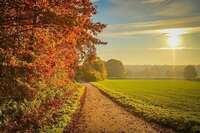 Що не можна позичати 7 вересня, щоб не накликати бідність: народні прикмети