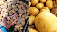 Картопляне горе: взимку овоч може зникнути з українських супермаркетів 