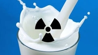 Поліщуки продають на ринках Рівненщини радіоактивне молоко 