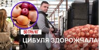 «Не тільки війна»: Аграрій озвучив 8 причин значного подорожчання цибулі в Україні (ФОТО)