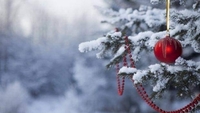Зимова казка під питанням: синоптики розповіли, якої погоди чекати на Новий рік в Україні
